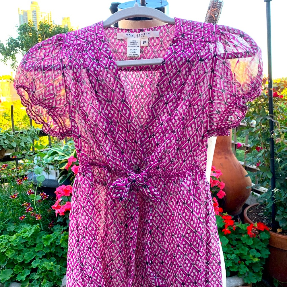 NWOT Women Sheer Blouse